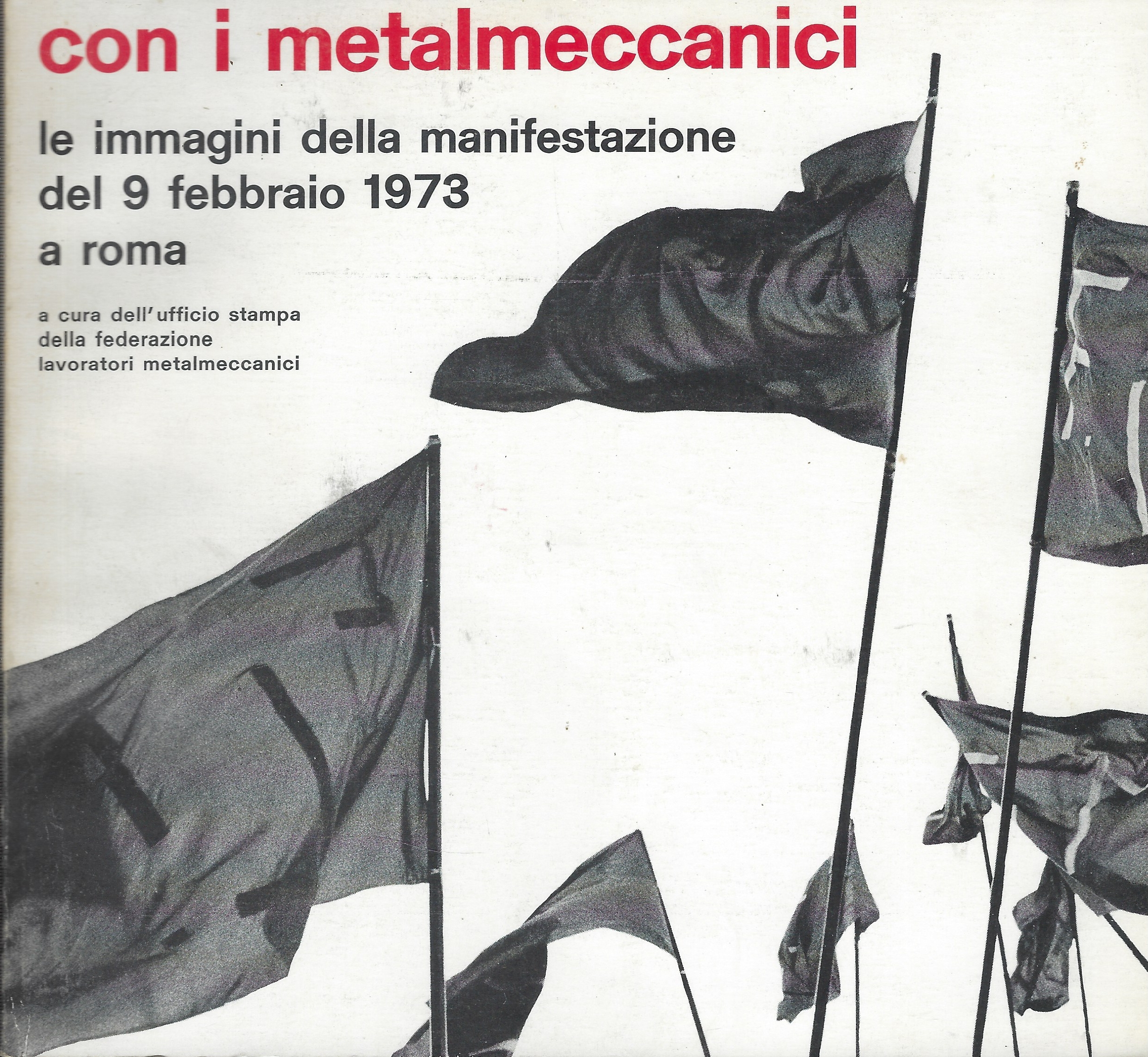 Con I Metalmeccanici : Le Immagini Della Manifestazione Del 9 …