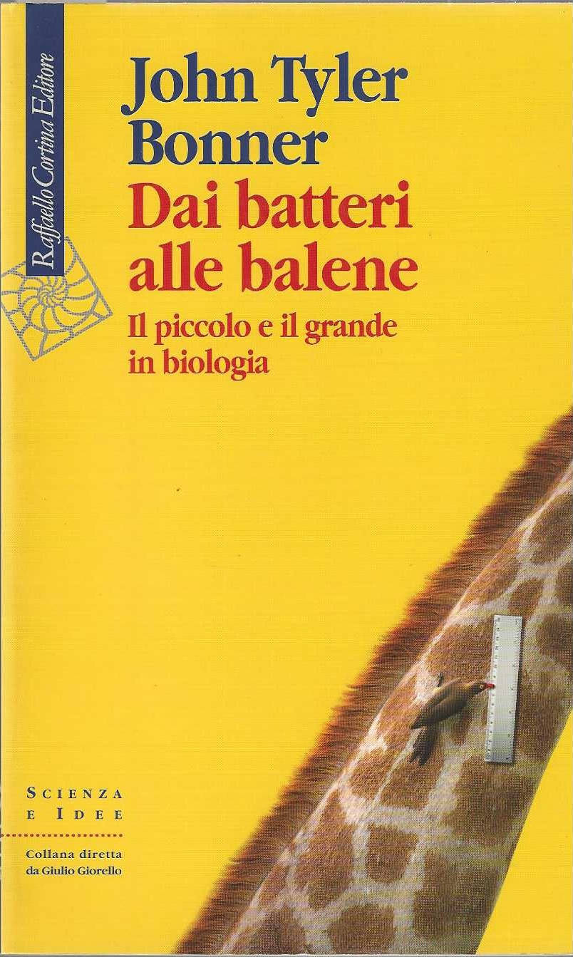Dai batteri alle balene . Il piccolo e il grande …