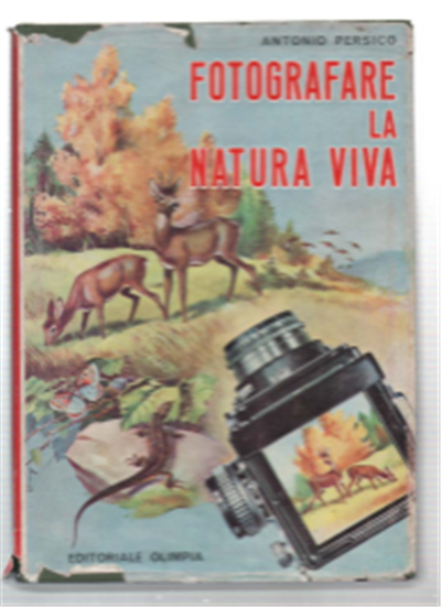 Fotografare La Natura Viva