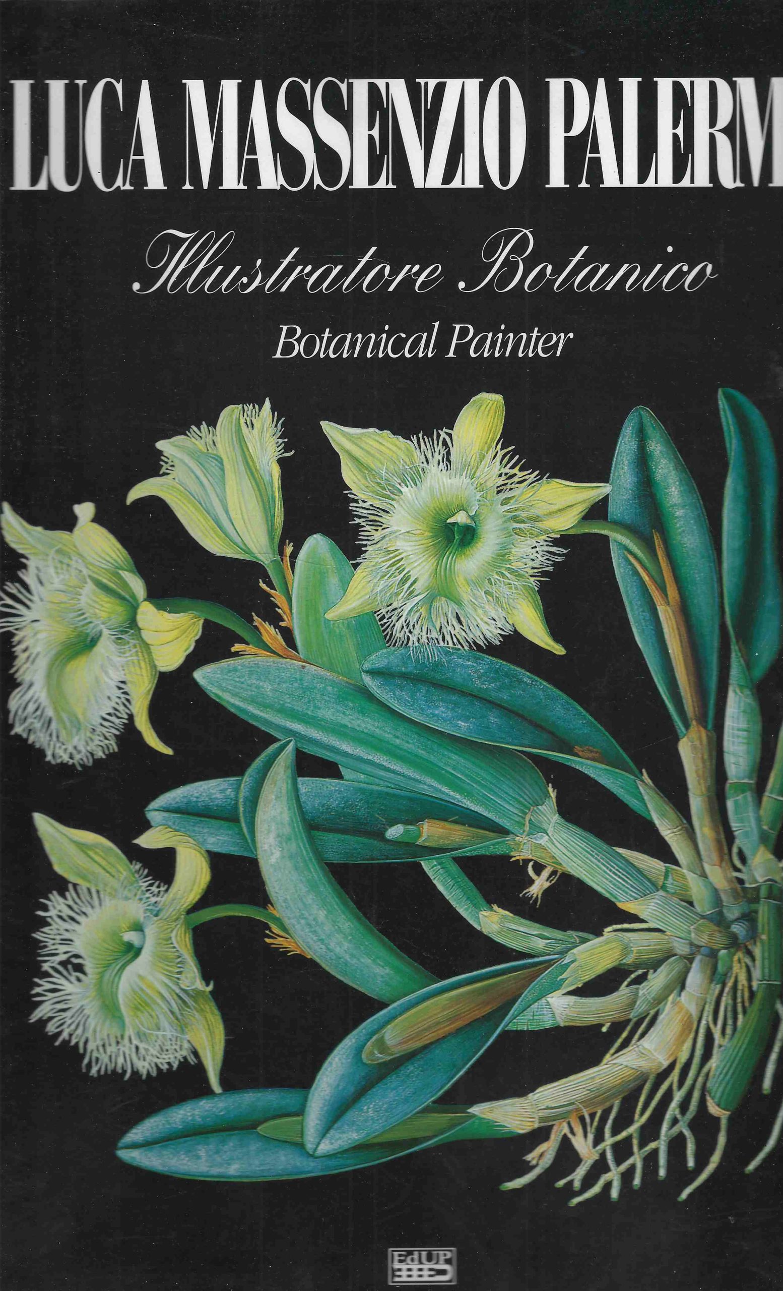 Illustratore botanico