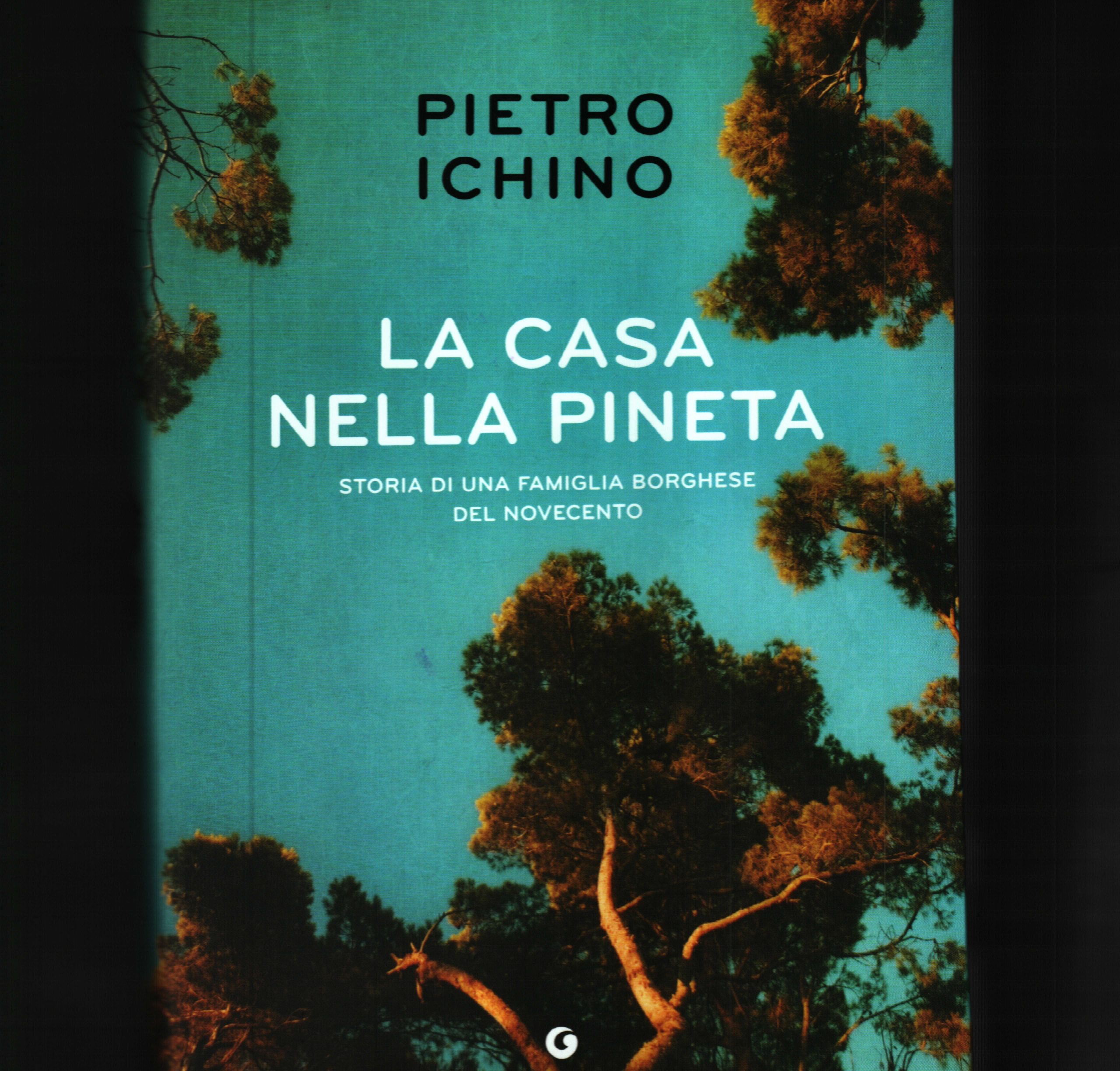 La casa nella pineta