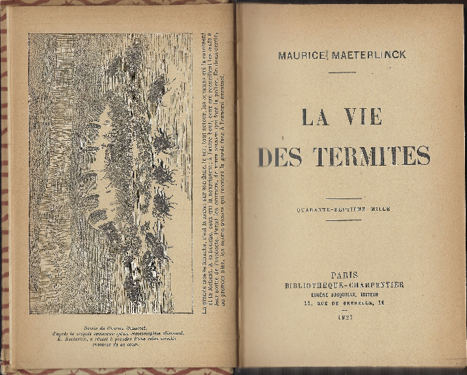 La Vie Des Termites