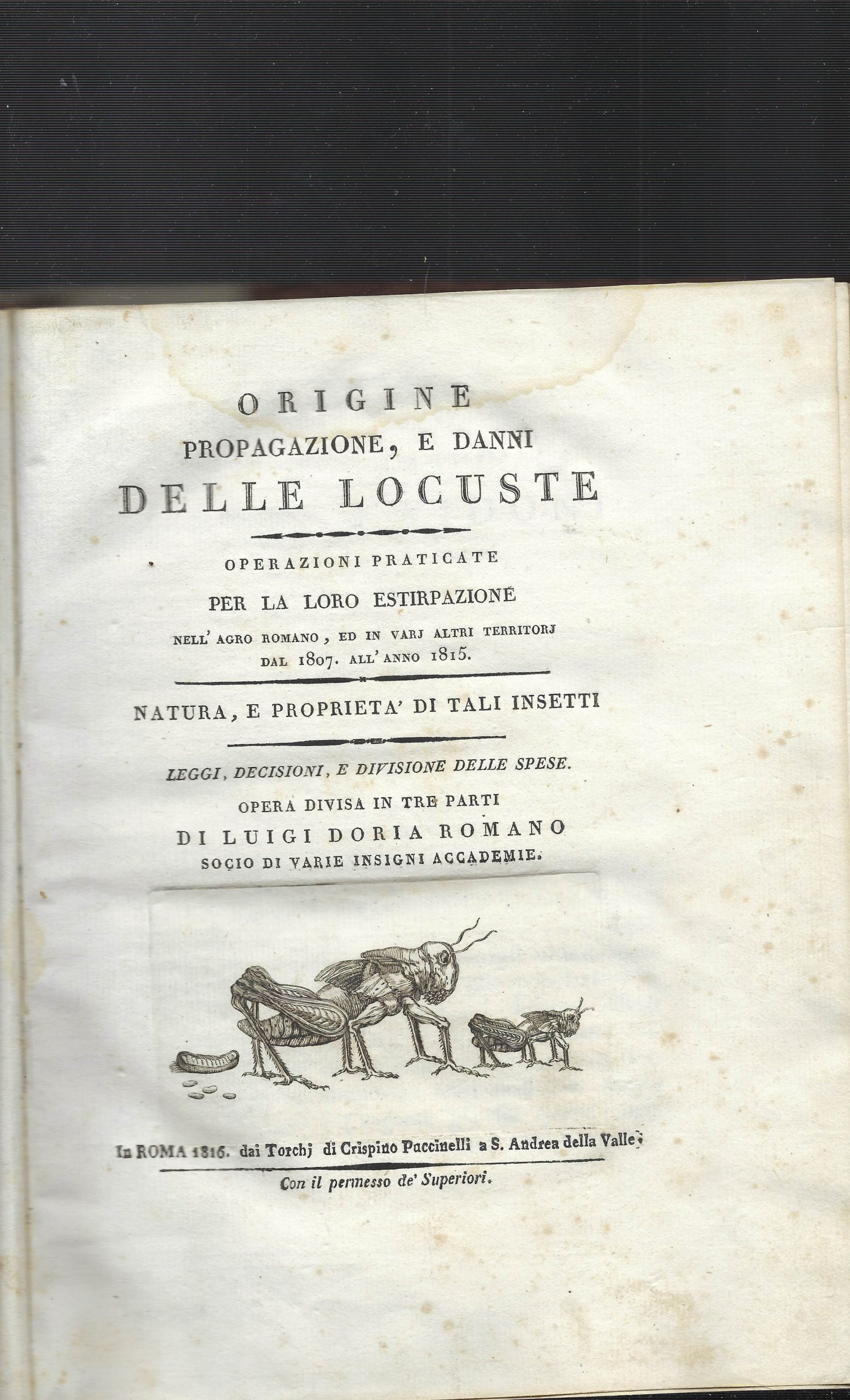 Origine, Propagazione E Danni Delle Locuste