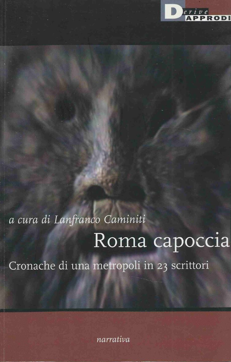 Roma Capoccia - Cronache di una metropoli in 23 scrittori