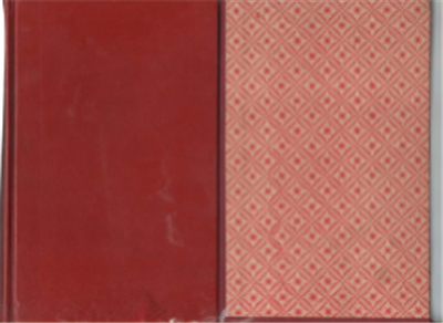 Vite Parallele. Volume Secondo