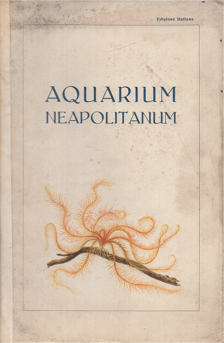 Aquarium Neapolitanum. Guida per l'acquarioi della Stazione Zoologica di Napoli