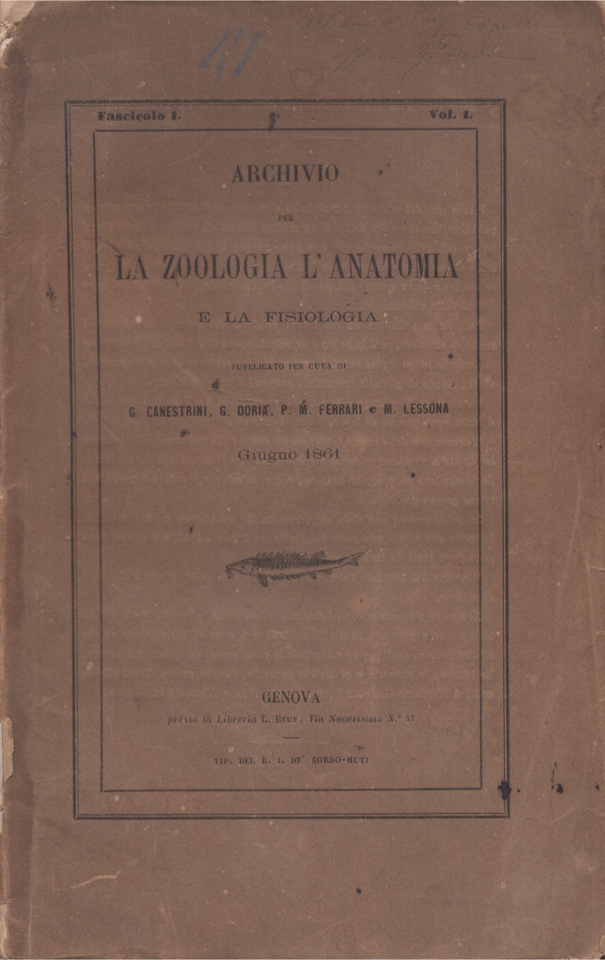 Archivio per la zoologia l'anatomia e la fisiologia