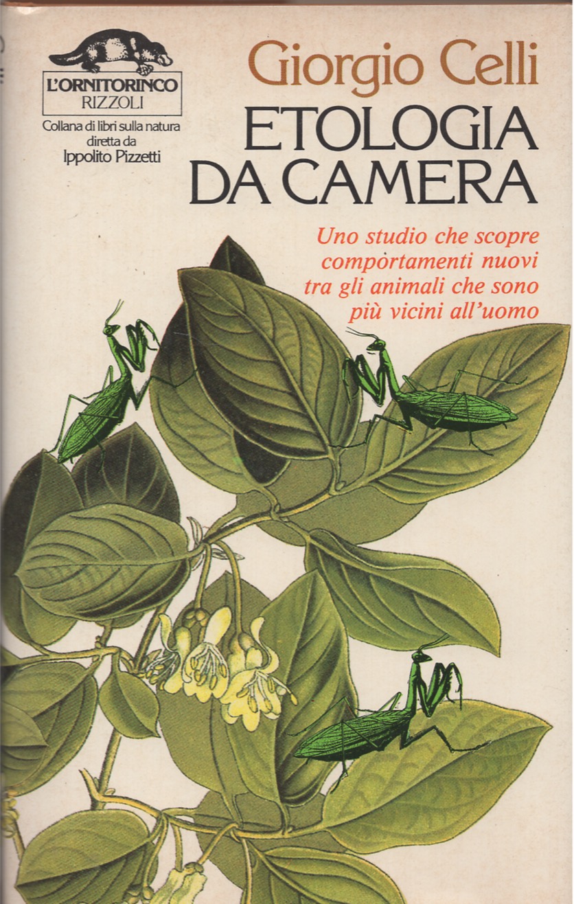 Etologia da camera