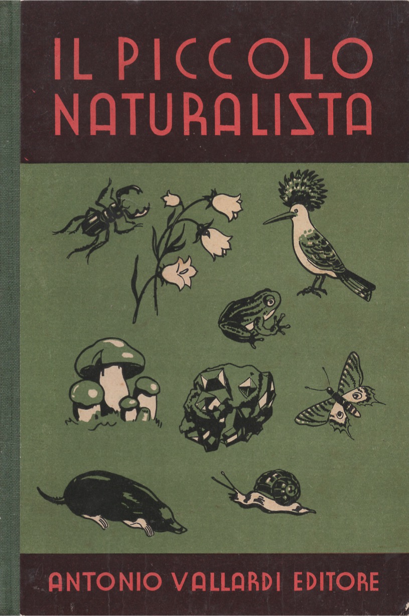 Il piccolo Naturalista