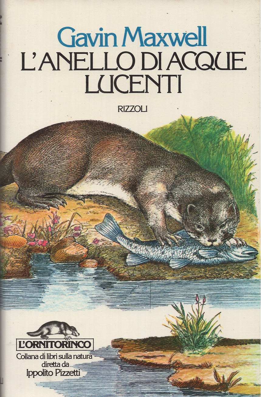 L'anello di acque lucenti
