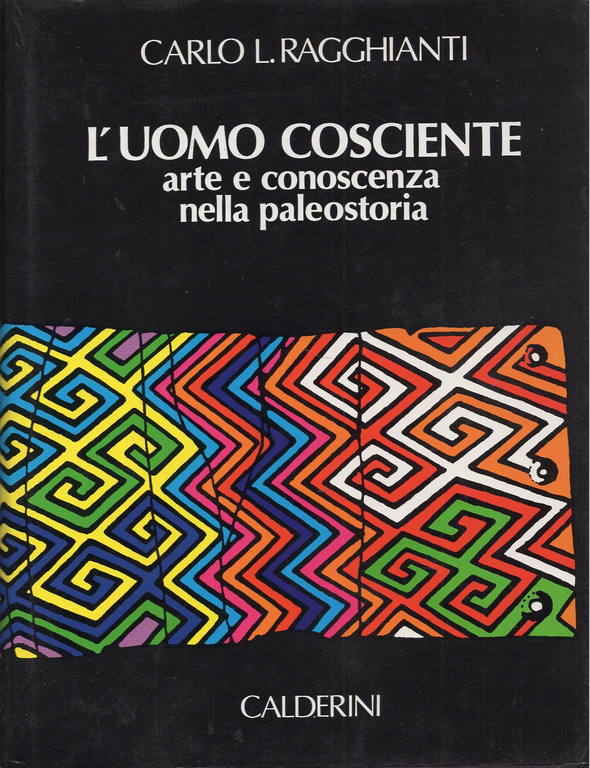 L'uomo cosciente, arte e conoscenza nella paleostoria