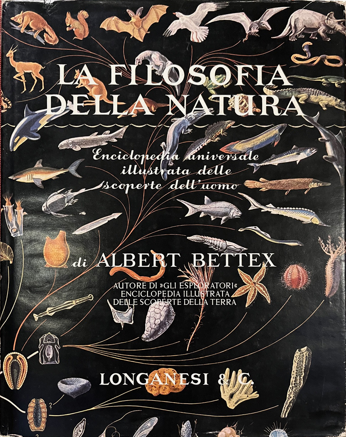 La filosofia della natura