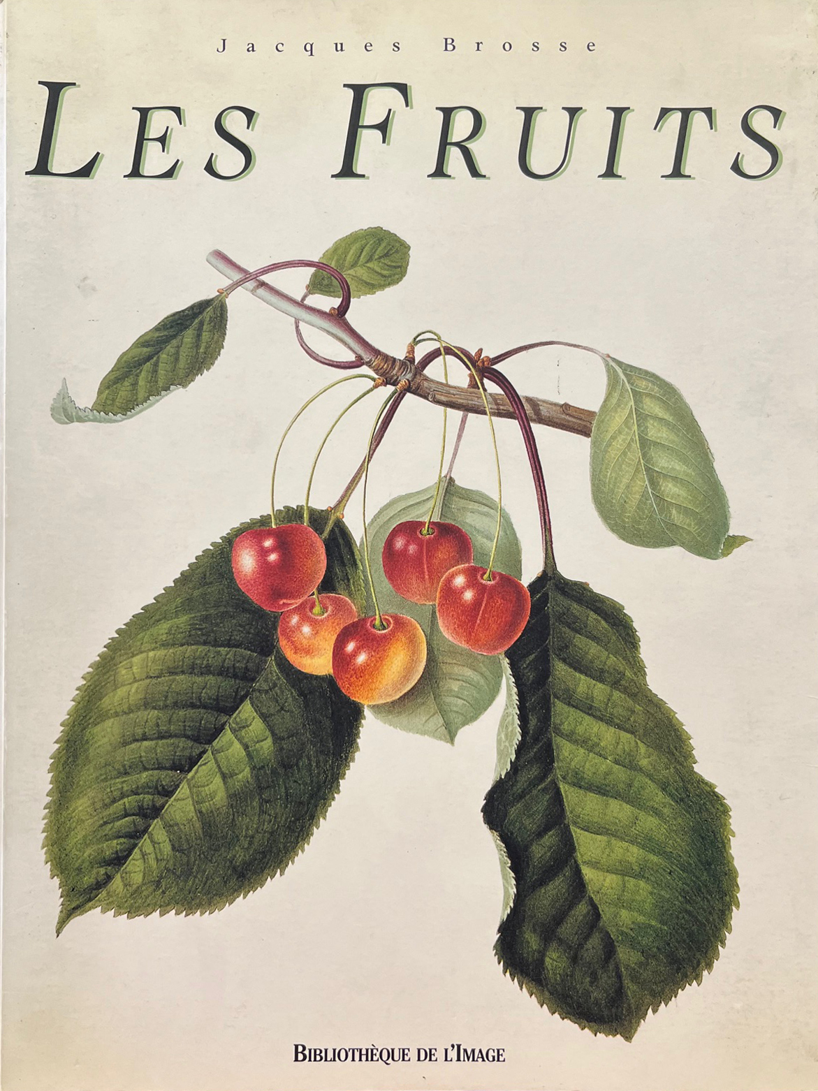 Les Fruits