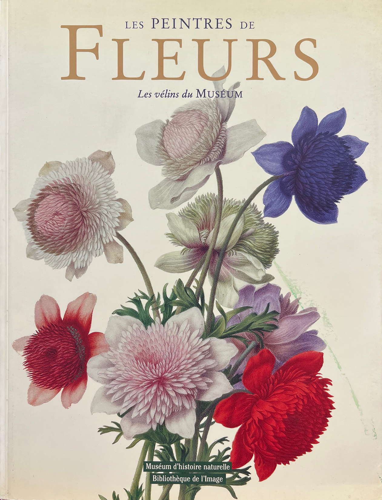 Les peintres de fleurs - Les vélins du Muséum