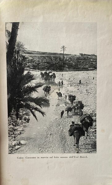 Stati e colonie. La Tunisia