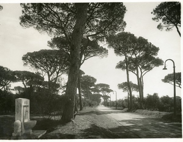 Ostia Pineta di Castel Fusano