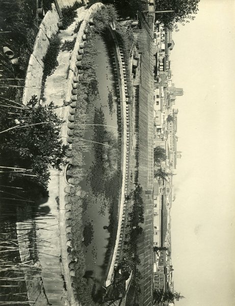 Roma panorama dal giardino