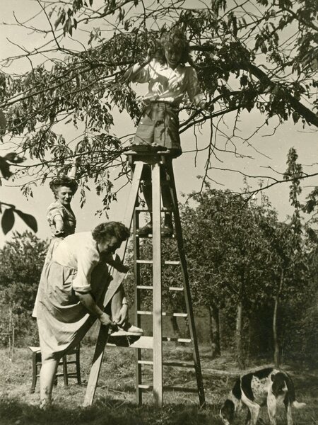 Vendemmia al femminile