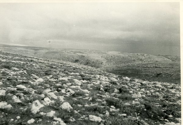 Le murge di Castel del Monte, provincia di Bari