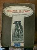 ANIMAUX DE SPORT. LEVRIERS - TAUREAUX - COQS.