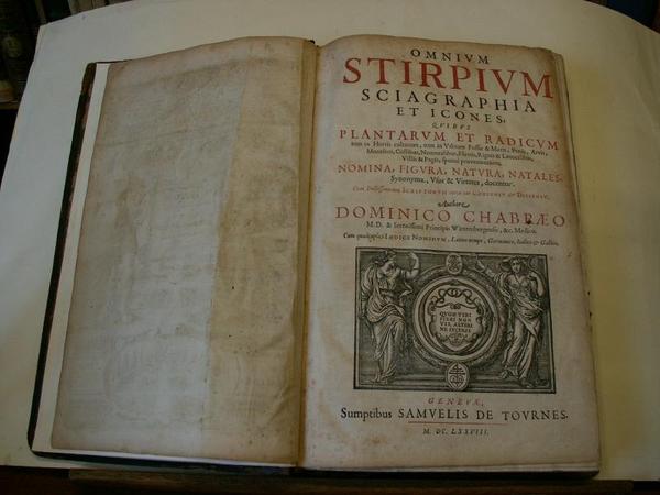 OMNIUM STIRPIUM SCHIAGRAPHIA ET ICONES QUIBUS PLANTARUM ET RADICUM, tum …