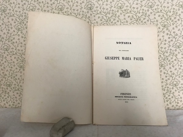 NOTIZIA DEL CONSIGLIERE GIUSEPPE MARIA PAUER