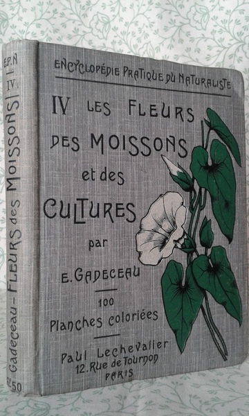 LES FLEURS DES MOISSONS, DES CULTURES, DU BORD DES ROUTES …