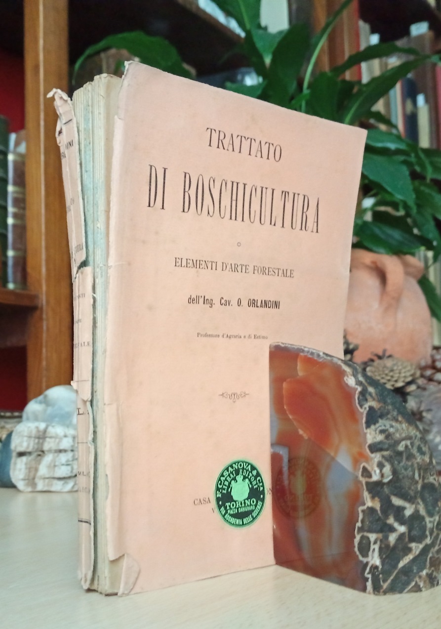 TRATTATO DI BOSCHICULTURA o Elementi d'Arte Forestale