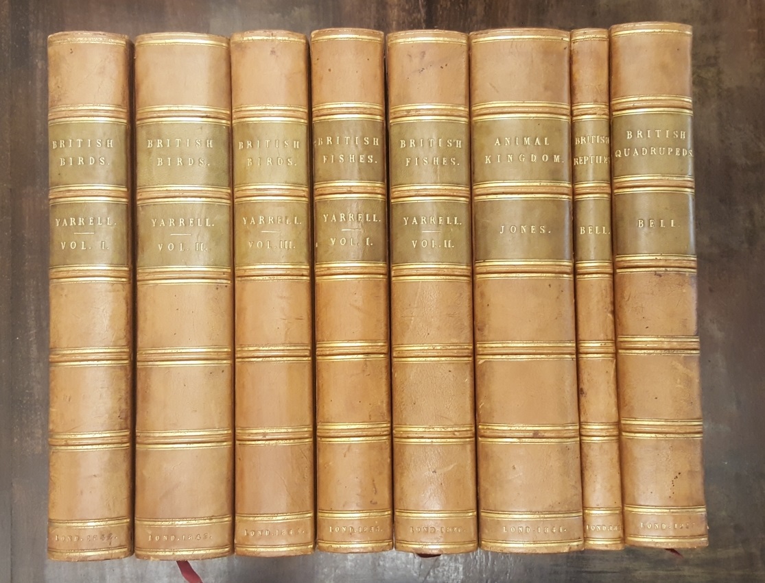 A history of British Fishes, Birds, Quadrupeds, Reptiles.- A general …