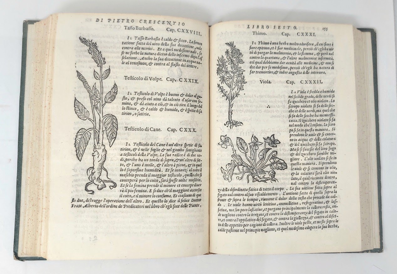 (Agricoltura volgare) Pietro Crescenzio Bolognese tradotto nuovamente per Francesco Sansovino. …