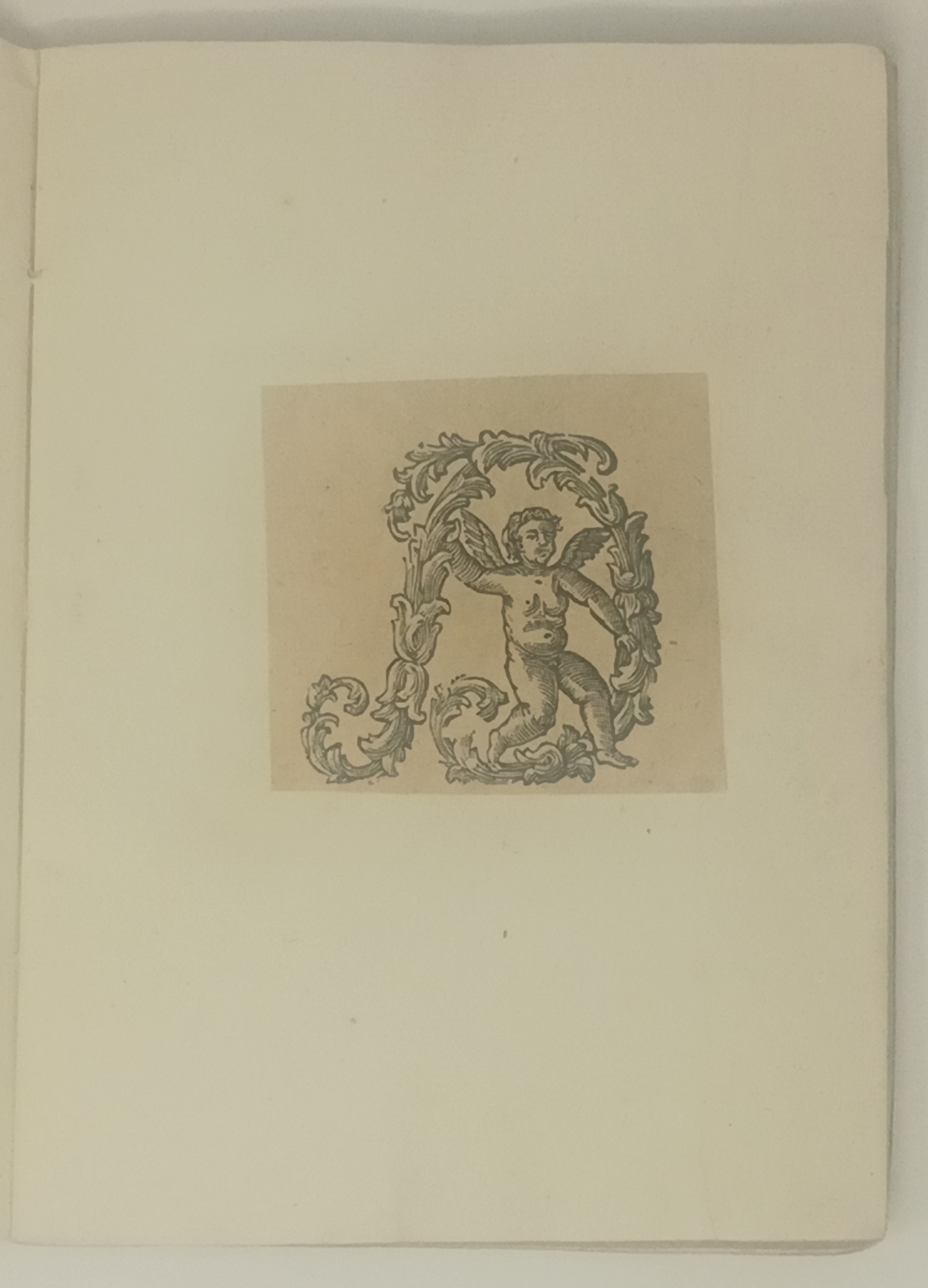 Alfabeto litoforme