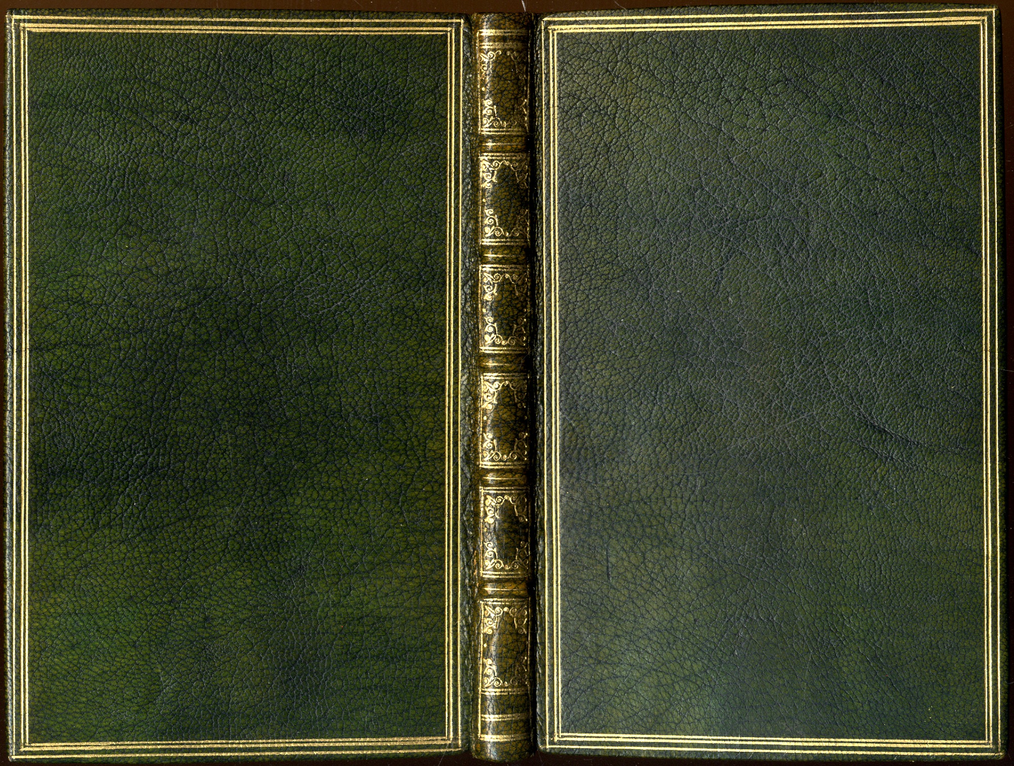 Angoscia. La prima furia del mondo