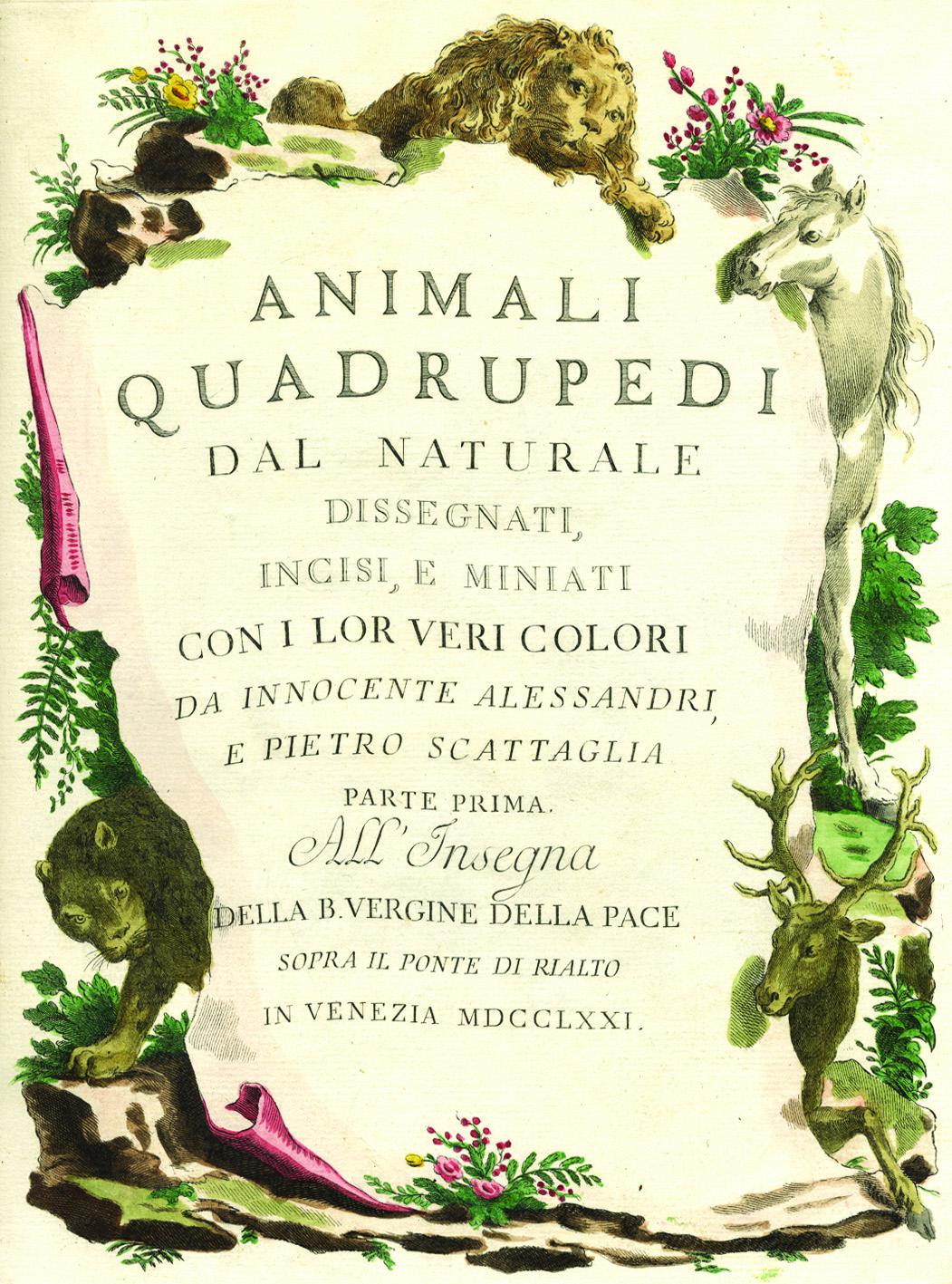 Animali Quadrupedi al naturale disegnati, incisi e miniati con i …