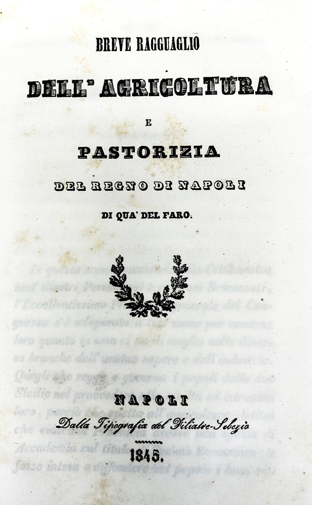 Breve ragguaglio dell'agricoltura e pastorizia del regno di Napoli di …