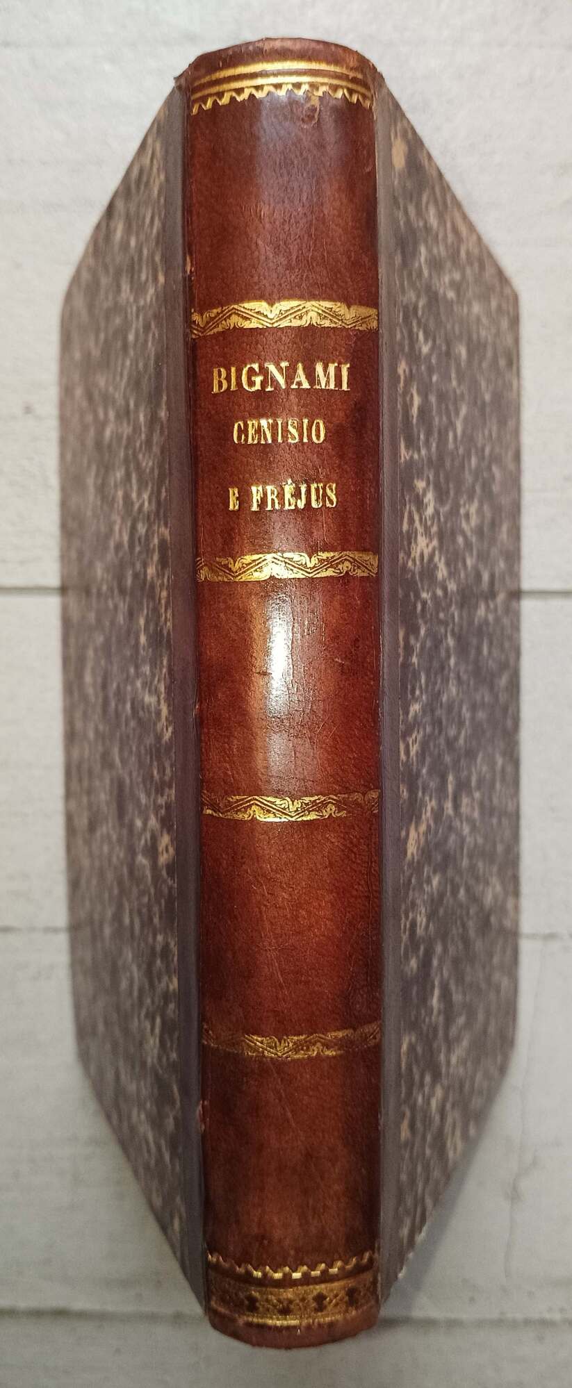 Cenisio e Fr&amp;eacute;jus con una lettera del generale Menabrea.&amp;nbsp;