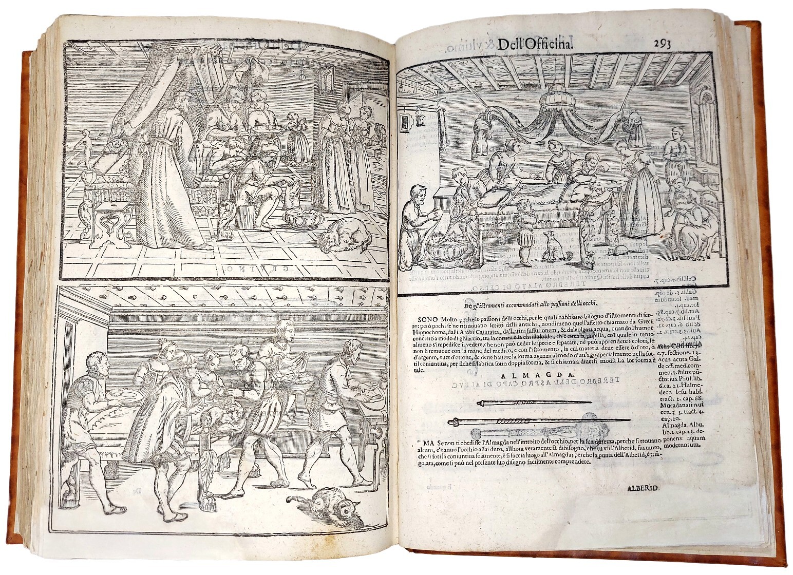 Cirugia Universale e Perfetta di tutte le parti pertinenti all'ottimo …