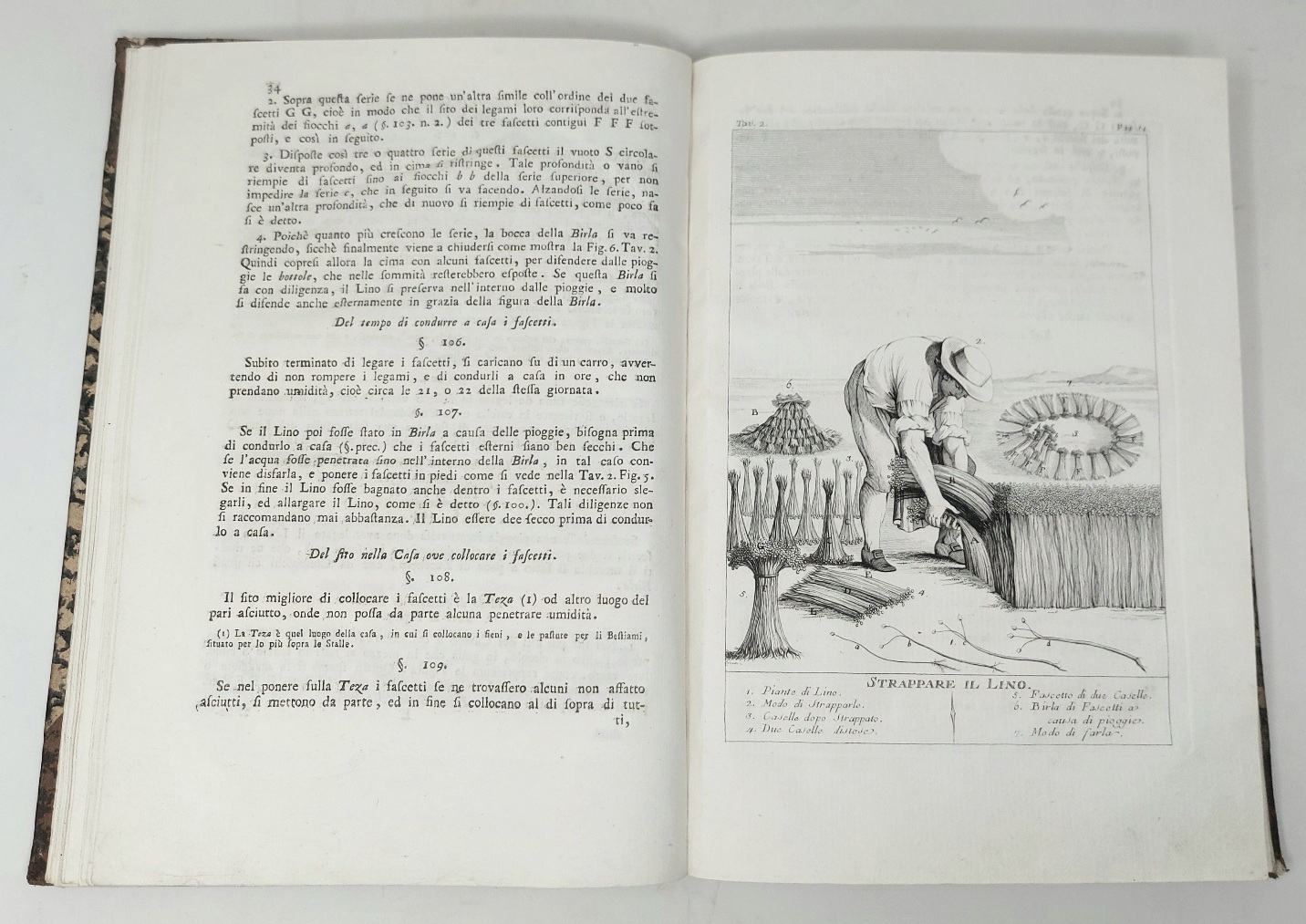 Coltivazione e governo del lino marzuolo.