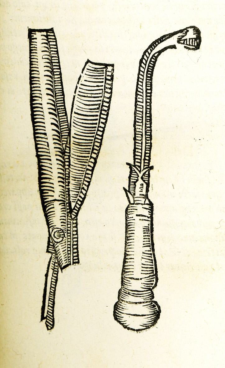 Compendio di tutta la Cirugia.