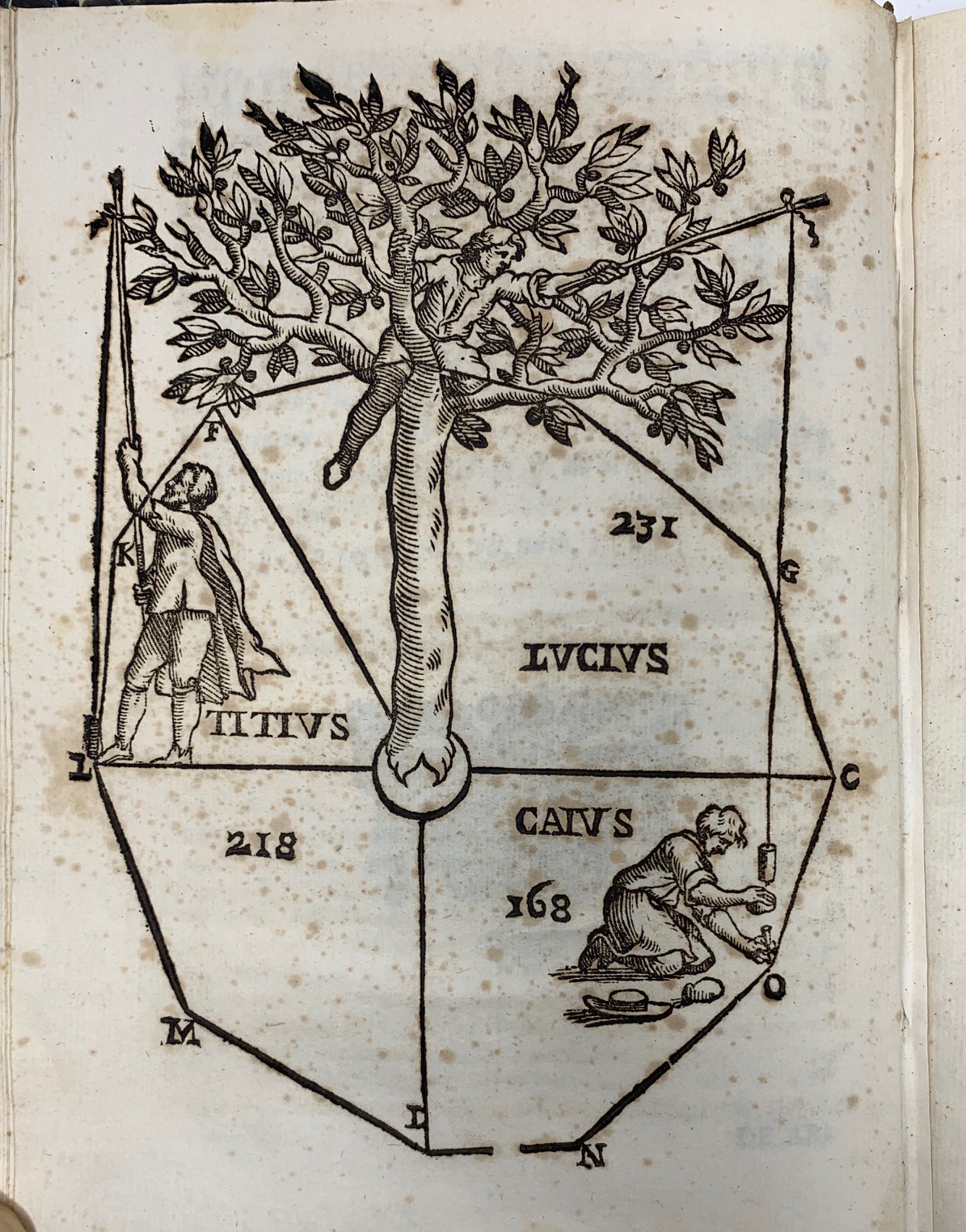 De arboribus controversis resolutionum liber singularis ex quibus omnes fer&amp;egrave; …