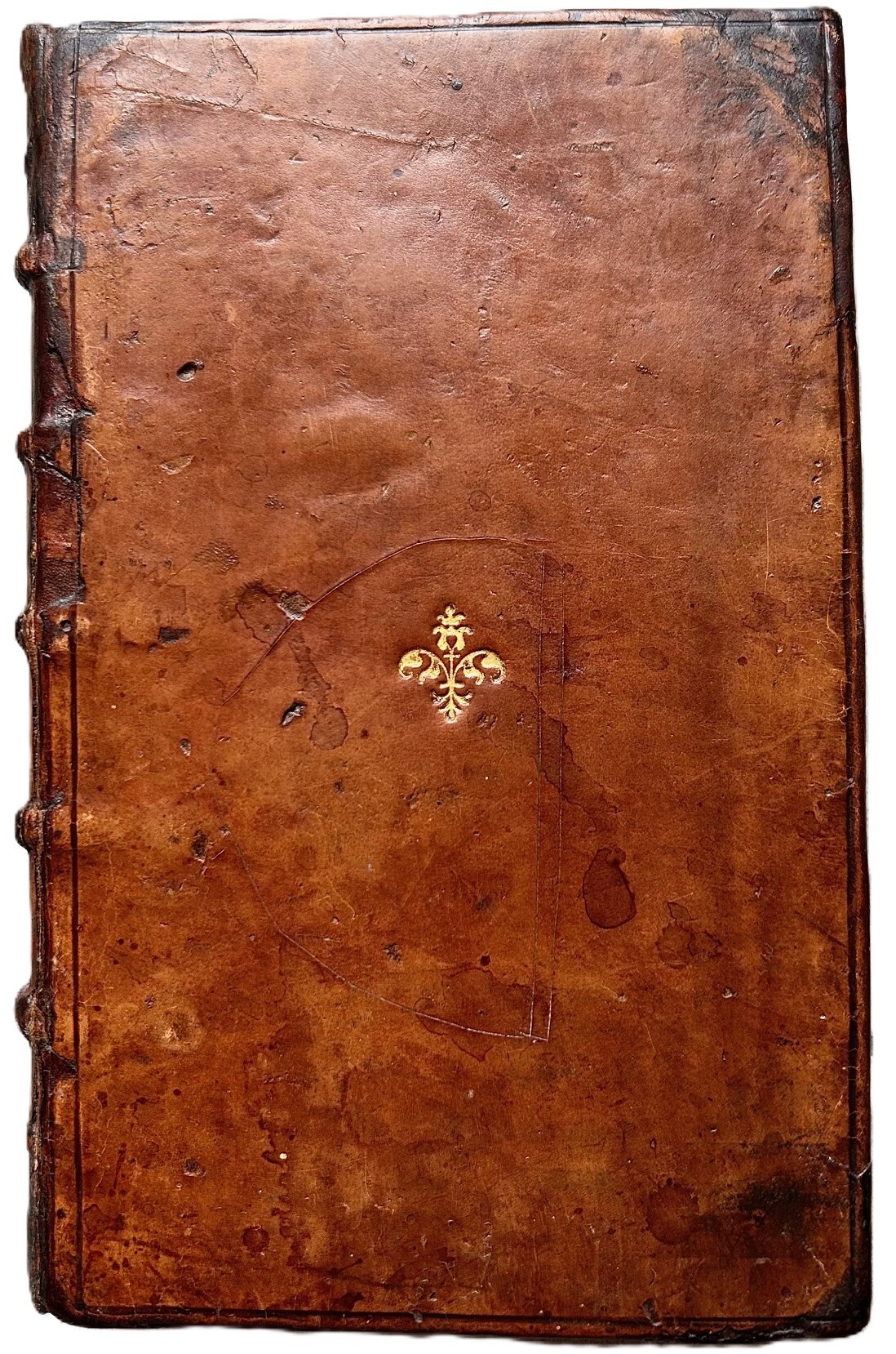 De Duplici copia Commentarij Duo, multa capitum &amp;amp; formularum accessione …