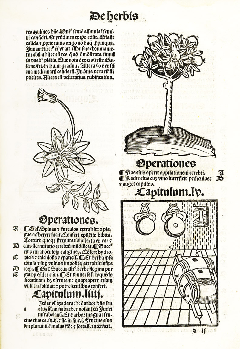 De Herbis et Plantis. De Animalibus &amp;amp; reptilibus. De Avibus …