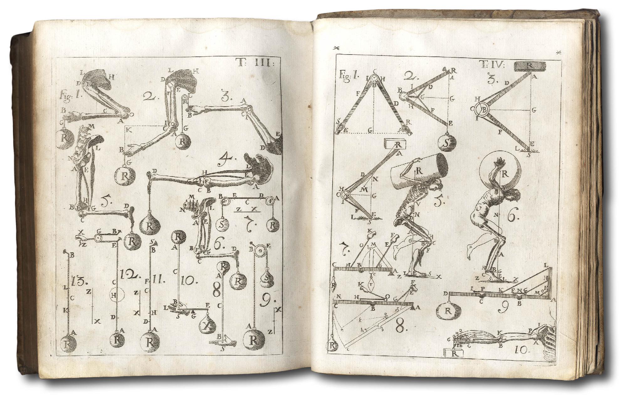 De Motu Animalium, pars prima (et secunda). Editio nova Neapolitana, …