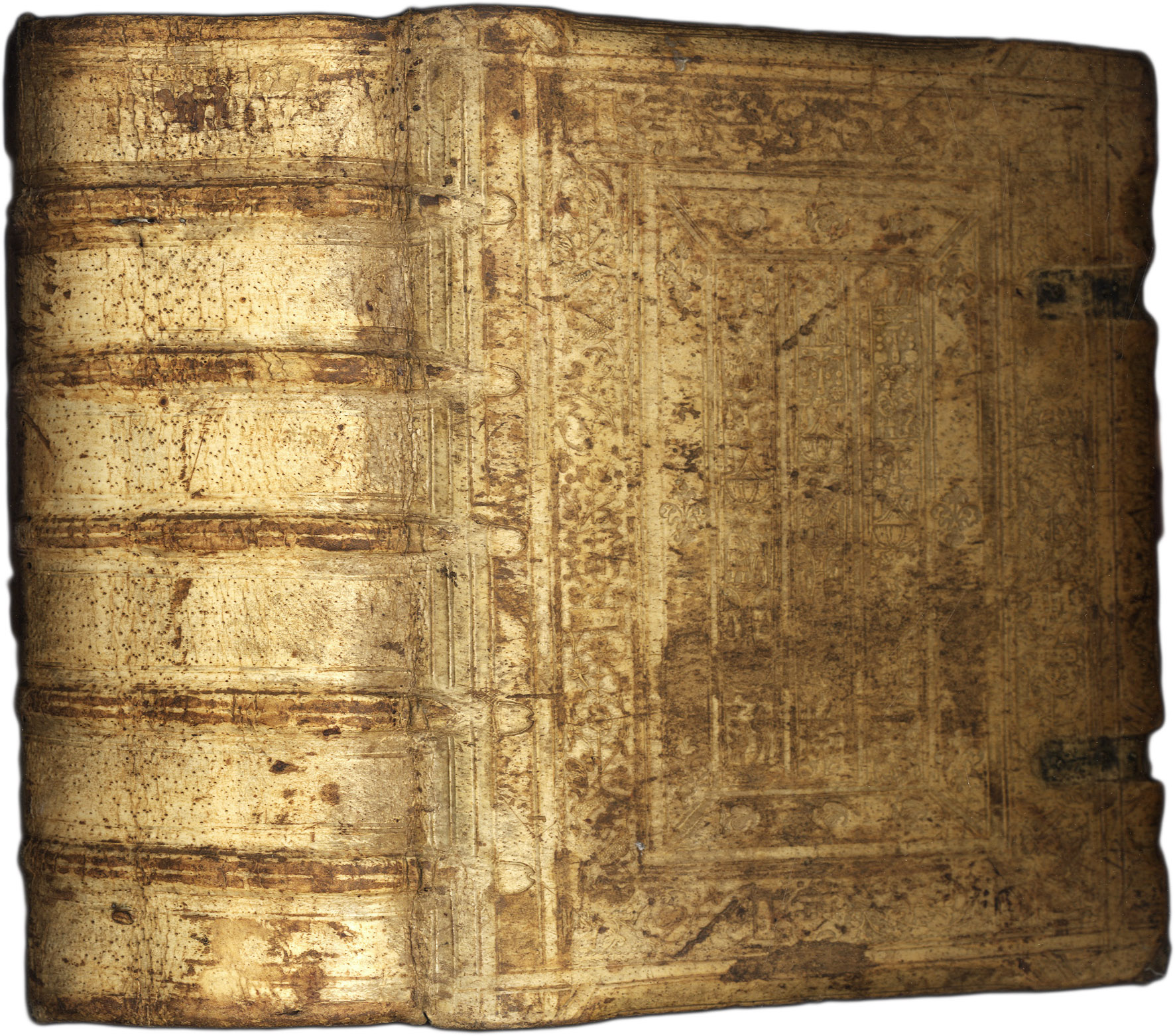 De stirpium commentariorum libri tres.