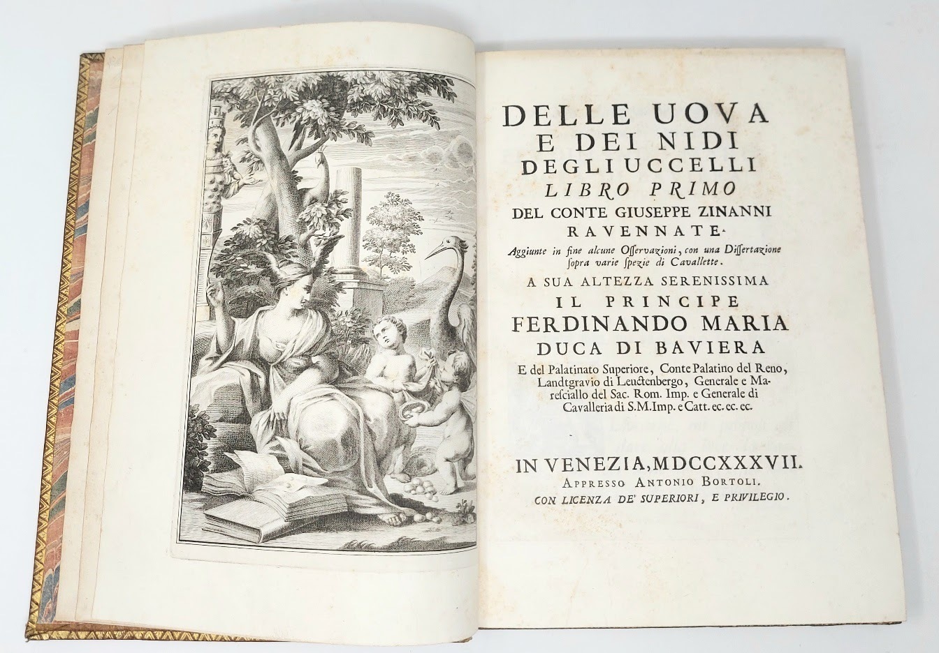 Delle Uova e dei Nidi degli Uccelli, libro primo... Aggiunte …