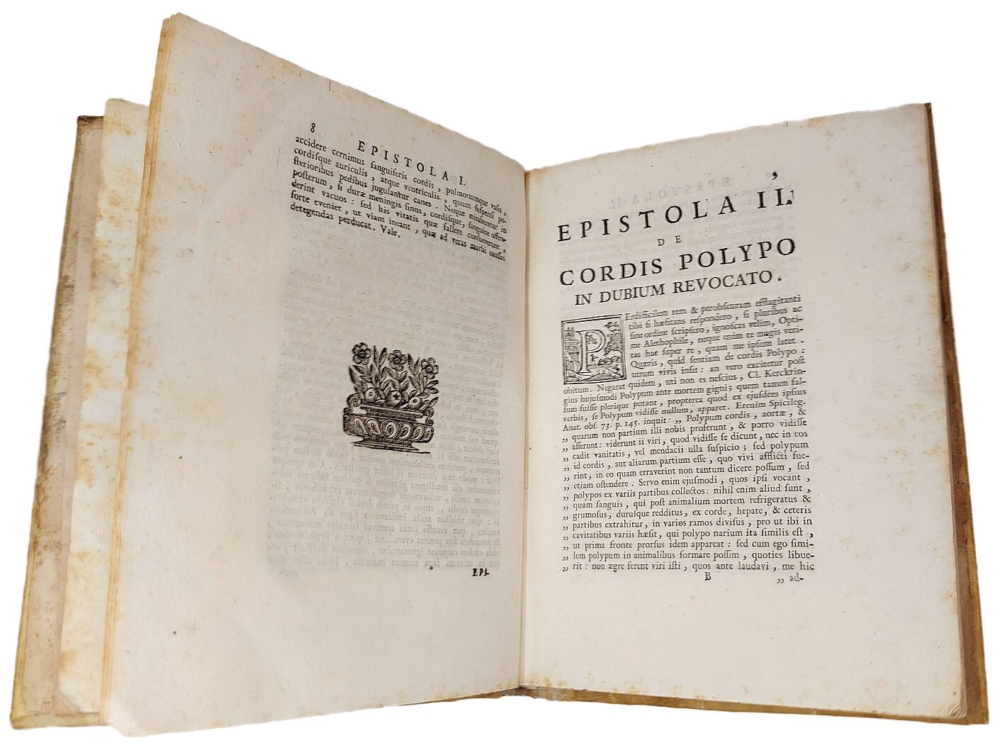 Epistolae ad Alethophilum duae altera de motu sanguinis post mortem …