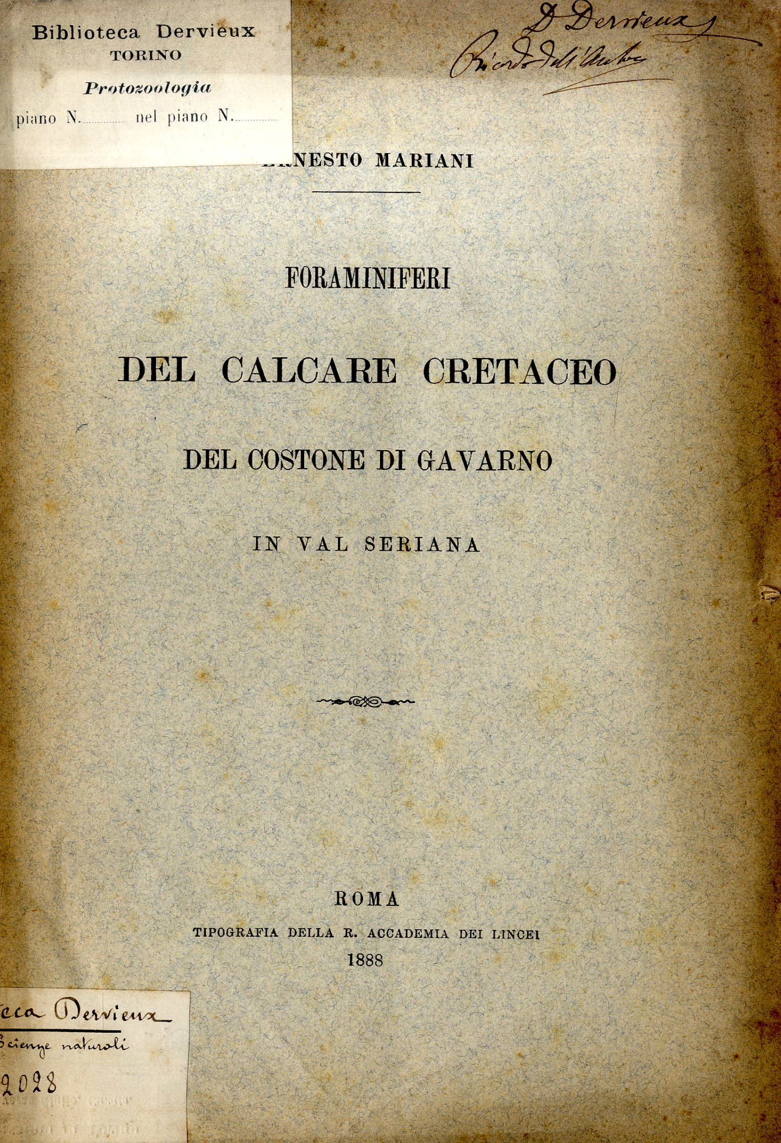 Foraminiferi del calcare cretaceo del costone di Gavarno in val …