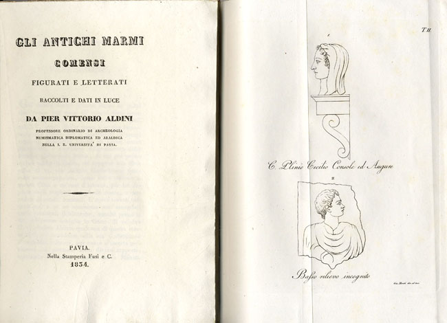 Gli antichi Marmi Comensi figurati e letterati. Raccolti e dati …