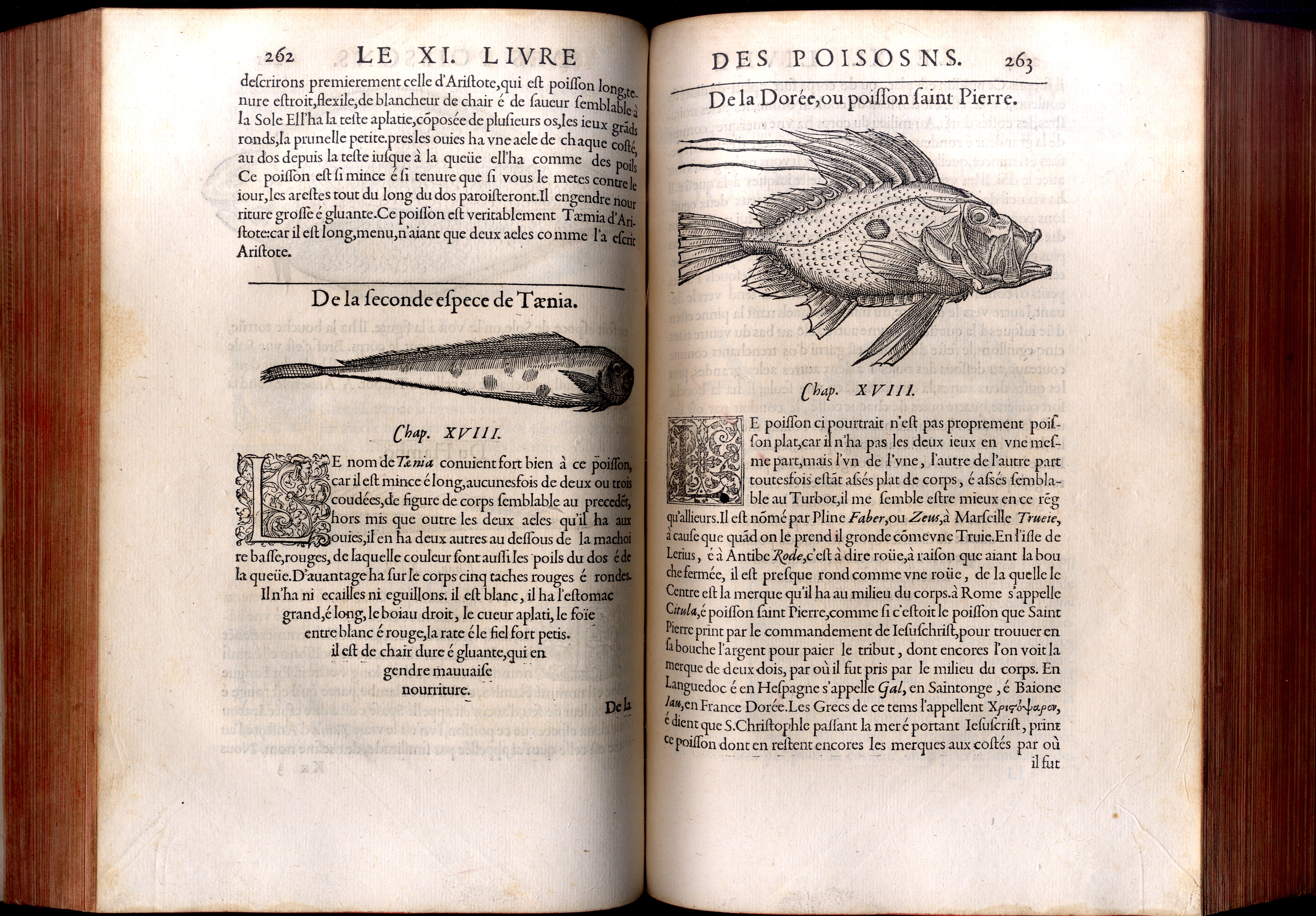 Histoire entiere des Poissons. Compos&amp;eacute;e premierement en Latin par maistre …