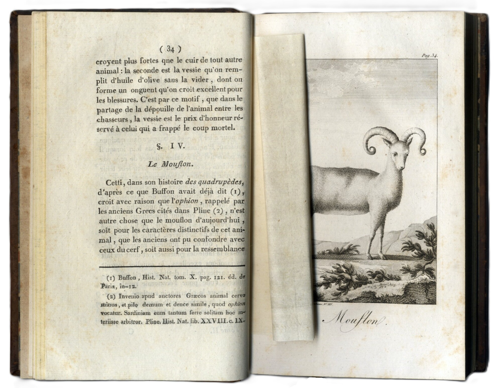 Histoire g&amp;eacute;ographique, politique et naturelle de la Sardaigne