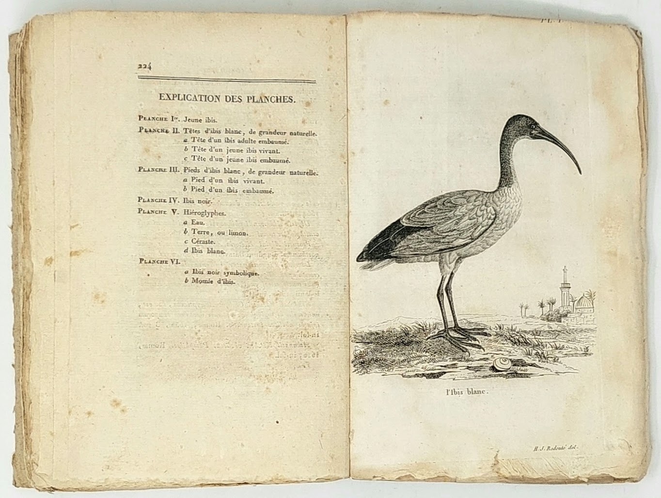 Histoire naturelle et mythologique de l'ibis... Orn&amp;eacute;e de six planches …